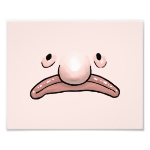 Foto Poster de la evolución de Blobfish