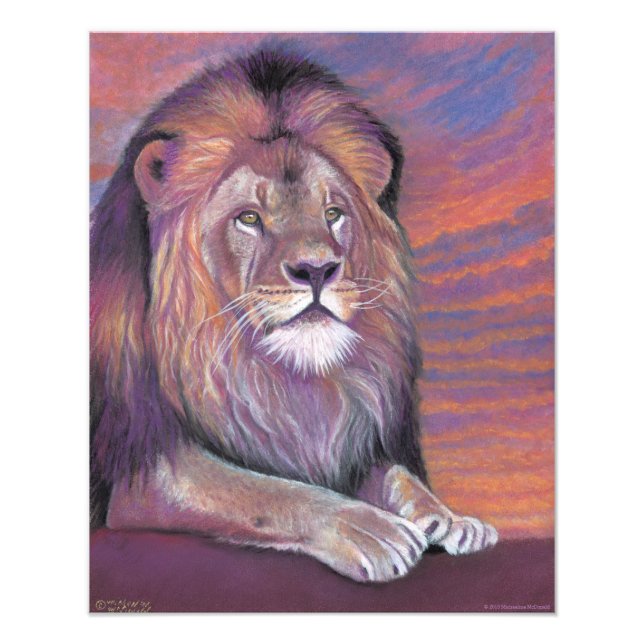 Foto Poster de leones (Frente)