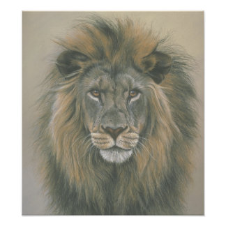 Foto Poster de Leones del Señor de la Selva