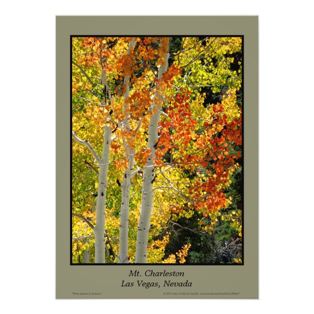 Foto Poster de Mt. Charleston NV Autumn Aspen Trees (Frente)