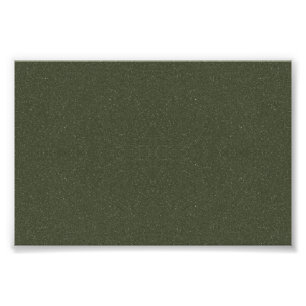 Foto Póster de Musgo Verde Texturizado para Eventos – P