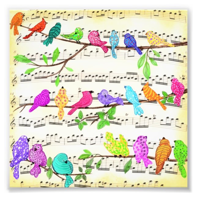 Foto Póster de pájaros musicales (Frente)