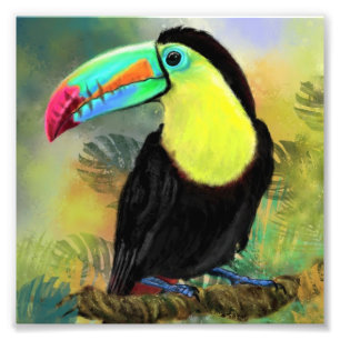 Foto Poster de pintura de pájaros Toco Toucan