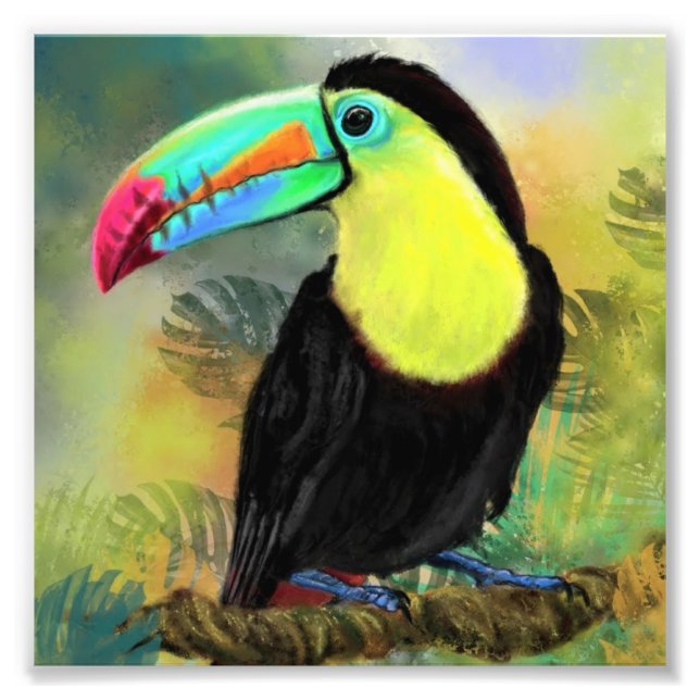 Foto Poster de pintura de pájaros Toco Toucan (Frente)