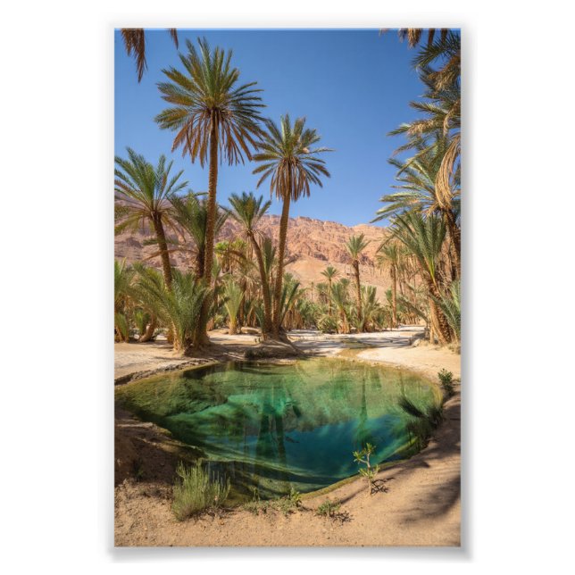 Foto poster del oasis de marrakech (Frente)