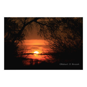 Foto Poster fotográfico Sunset de Kansas Trees.