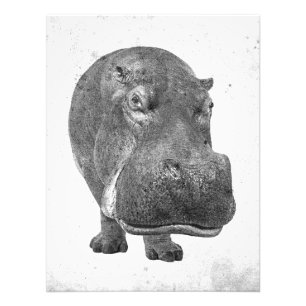 Foto ¡Poster/impresión del Hippopotamus del estilo de