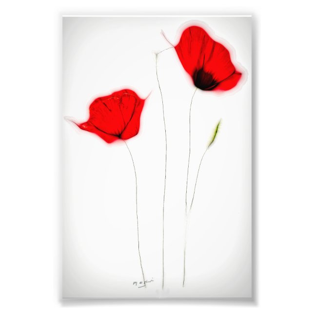 FOTO POSTER POPPY (Frente)