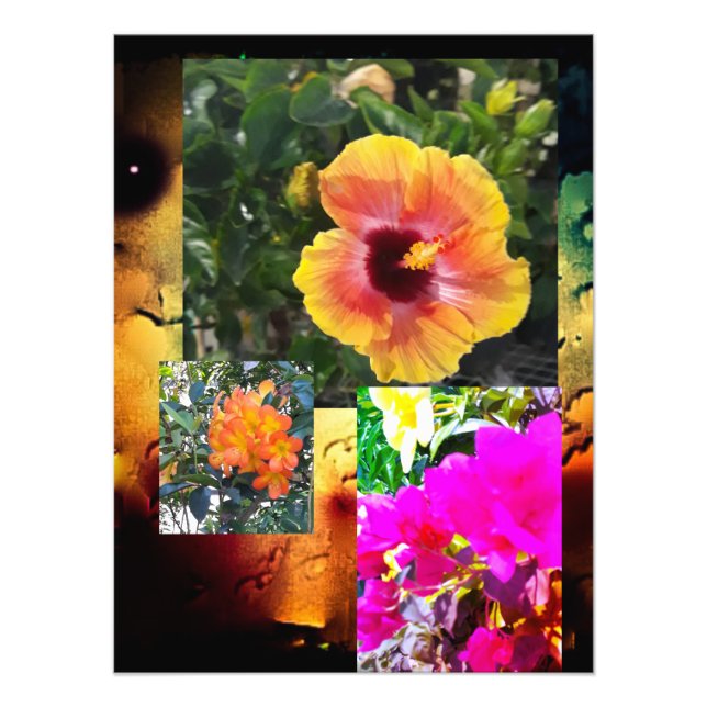 Foto Potencia de las flores 2024 (Frente)