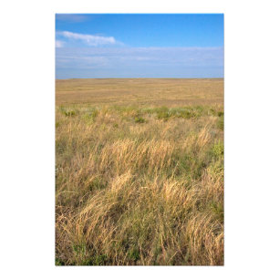 Foto Pradera de pastizales al este de Sidney, Nebraska.