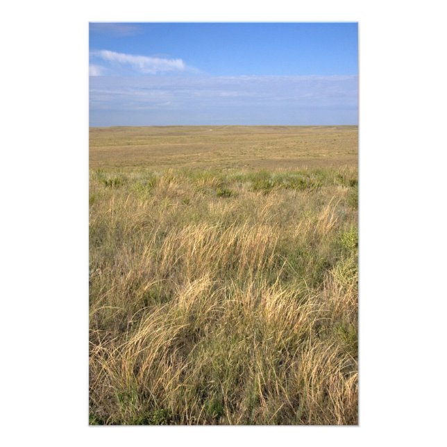 Foto Pradera de pastizales al este de Sidney, Nebraska. (Frente)