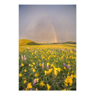Foto Prado de flores silvestres espectacular al amanece