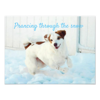 Foto Prancing Through the Snow Photo Ensancada