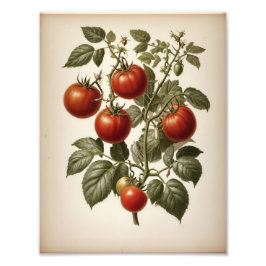 Foto Premium Satin Photo Paper Photo Enlargement