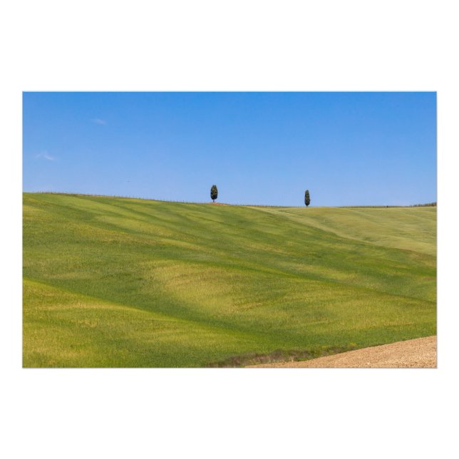 Foto Premium Satin Photo Paper Photo Enlargement (Frente)