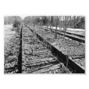 Foto Pri fotográfico blanco y negro silencioso de las
