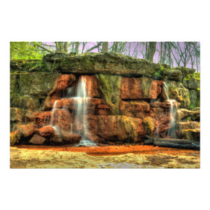 Foto Primavera amarilla, reserva de naturaleza de Helen