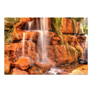 Foto Primavera amarilla, reserva de naturaleza de Helen