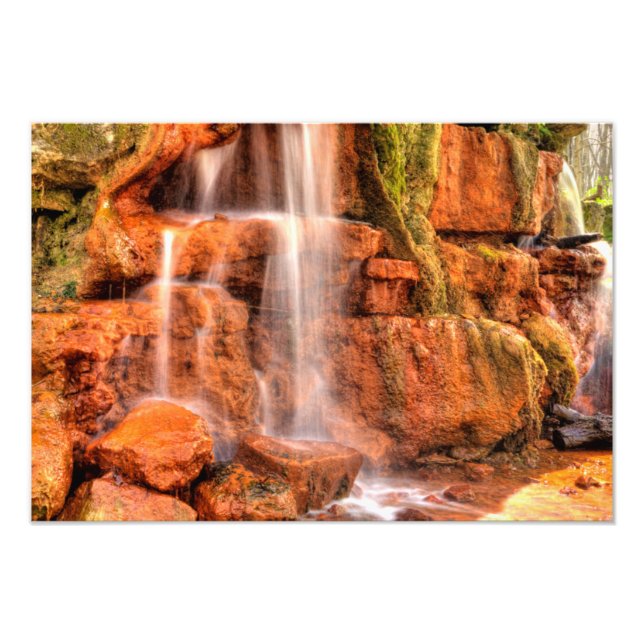 Foto Primavera Amarilla, Reserva Natural Glen Helen, Oh (Frente)