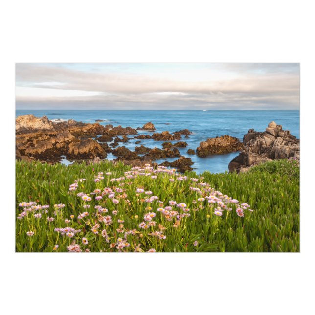 Foto Primavera costera (Frente)