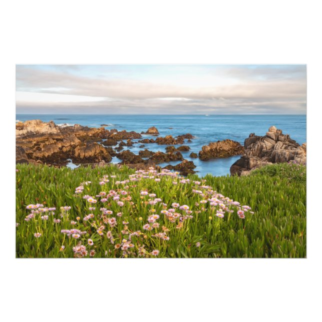 Foto Primavera costera (Frente)