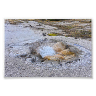 Foto Primavera de Shell en el Parque Nacional Yellowsto