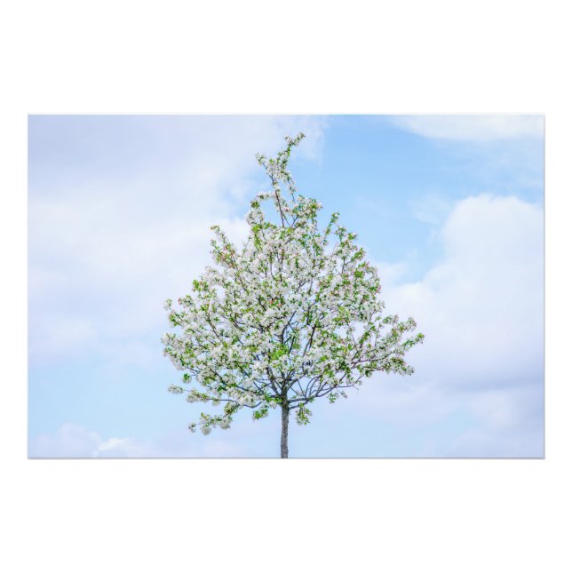 Foto Primavera - Feliz Pascua (Frente)