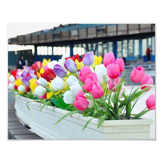 Foto Primavera hacia adelante (Frente)