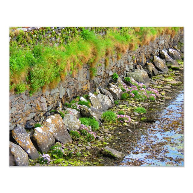 Foto Primavera irlandesa #1 (Frente)