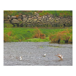 Foto Primavera irlandesa #2