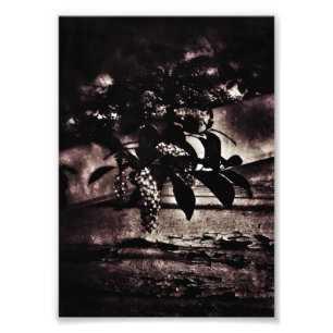 Foto Primavera oscura