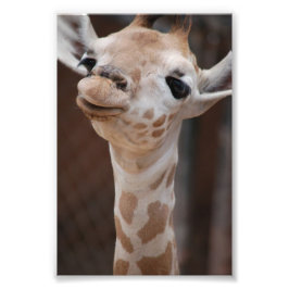 Foto Princesa 4X6 Imprimir #1