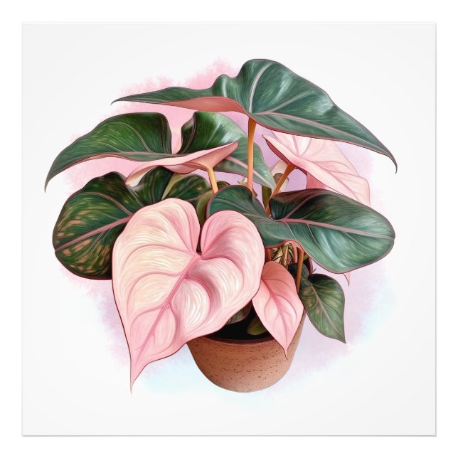 Foto Princesa Rosa Filódenro en el Pote (Frente)