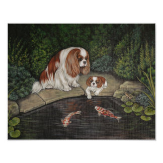 Foto Princesa y rana: Cavalier King Charles Spaniel