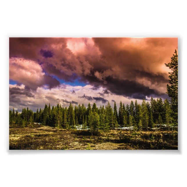 Foto Profundidad en los bosques del norte (Frente)