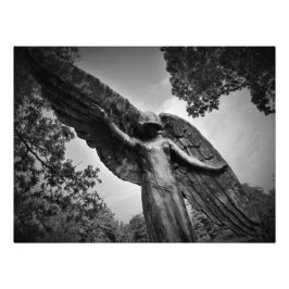 Foto "Protección frente a lo anterior"