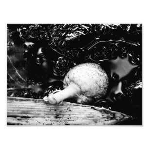 Foto protector oscuro