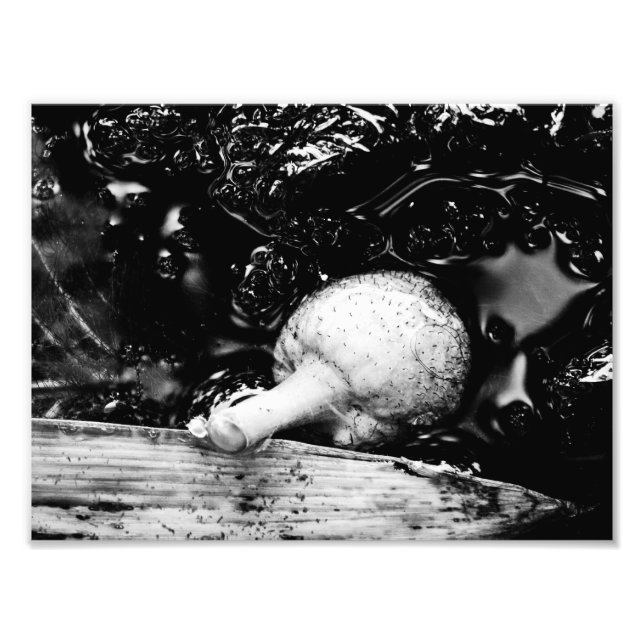 Foto protector oscuro (Frente)