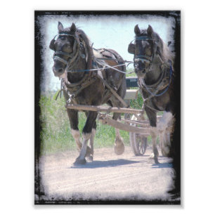 Foto Proyectos de trabajo del Pinto de Amish
