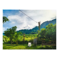 Pueblo de Vida Agrícola Verde