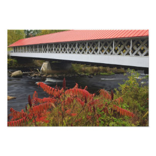 Foto puente cubierto Ashuelot de 159 pies de largo que 