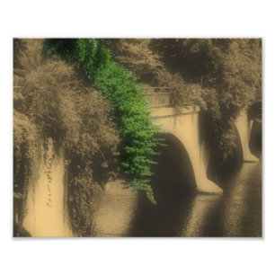 Foto Puente De Flores Color Parcial Vintage 8x10