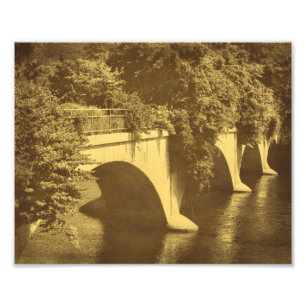 Foto Puente De Flores Vintage Look 8x10