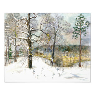 Foto puente de invierno