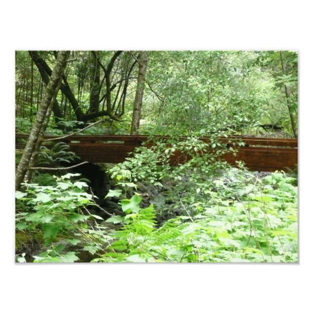 Foto Puente Muir Woods I (Frente)