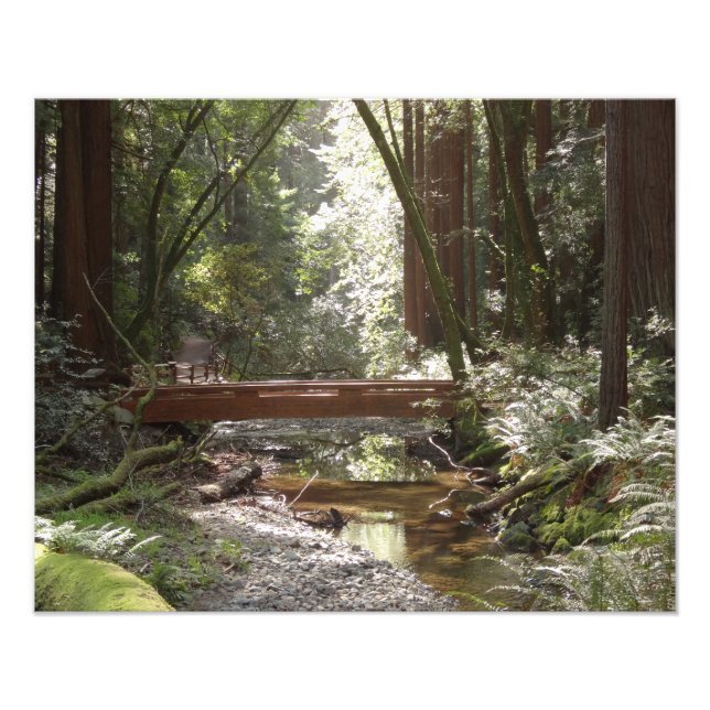 Foto Puente Muir Woods II (Frente)