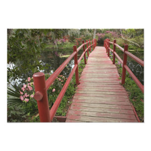 Foto Puente rojo sobre estanque, Magnolia Plantation,