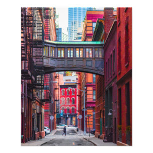 Foto Puente Staple Street (grande)