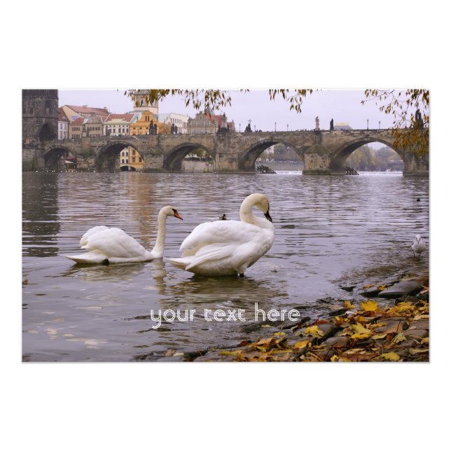 Foto Puente Swans y Charles en Praga (Frente)