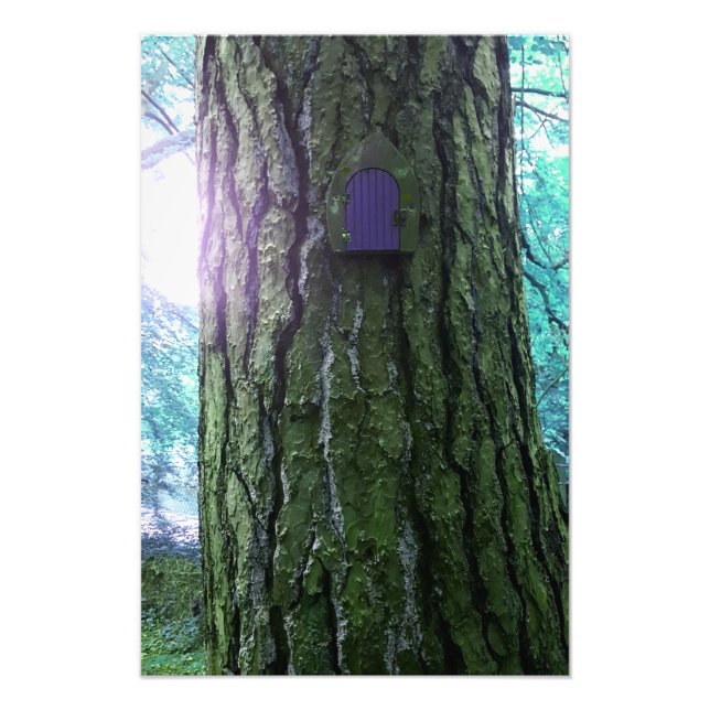 Foto Puerta de hadas en Poster de árbol (Frente)